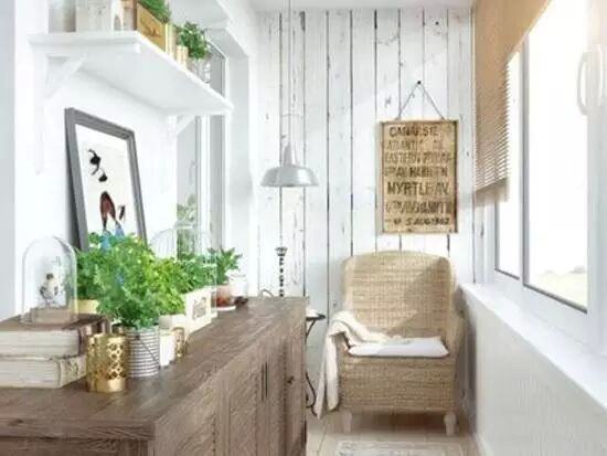 陽(yáng)臺(tái)種什么植物比較好？植物風(fēng)水有哪些禁忌？