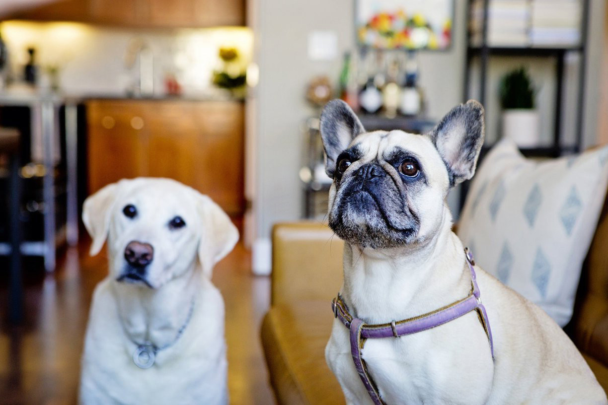 龍湖九里晴川-現(xiàn)代簡約-臥室設(shè)計(jì)效果圖